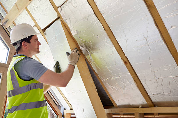 Best Local Insulation Services  in USA